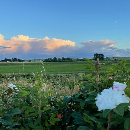 Aengahuset Villa Glemminge Buitenkant foto