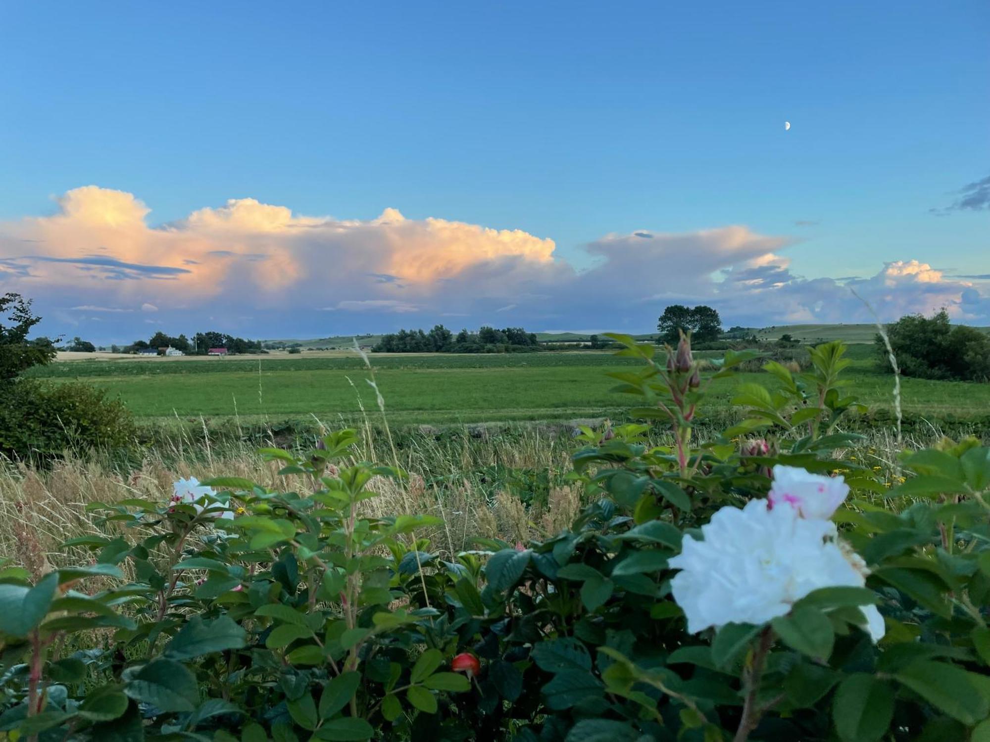 Aengahuset Villa Glemminge Buitenkant foto