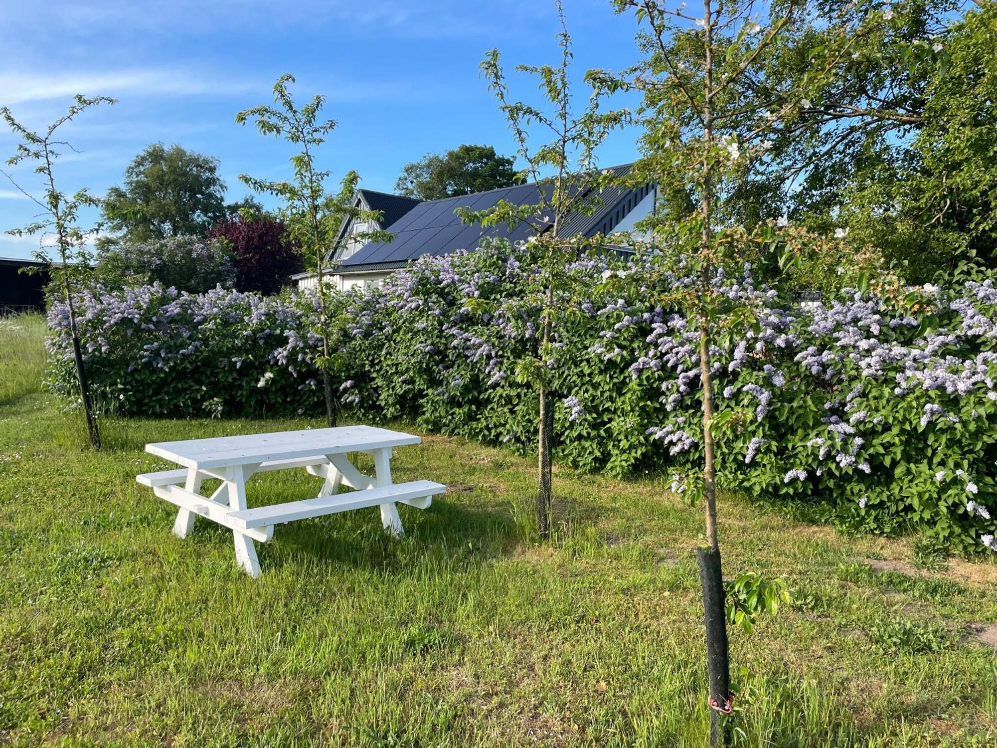 Aengahuset Villa Glemminge Buitenkant foto
